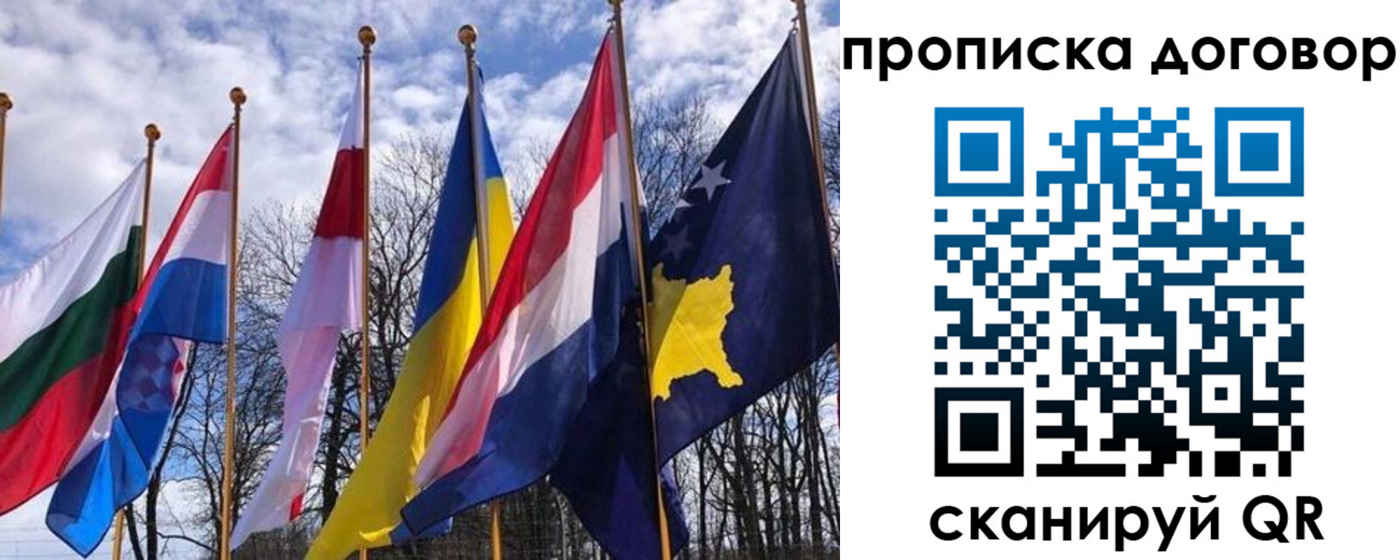 пропишу в квартире в Светлогорске